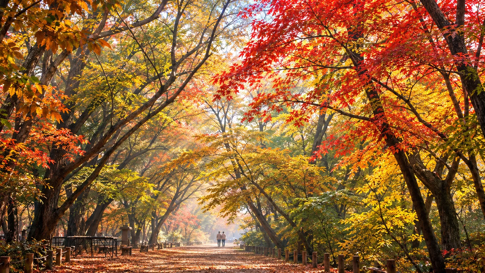 함양 상림공원 가을 여행 이미지